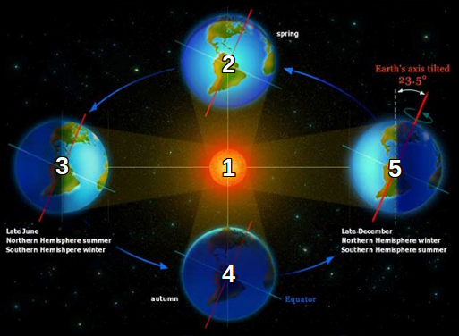 The Four Seasons